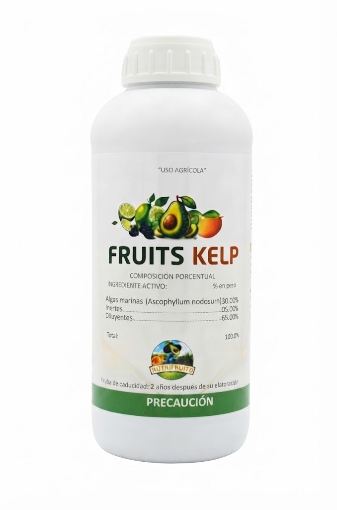 Fruits Kelp Algas Marinas